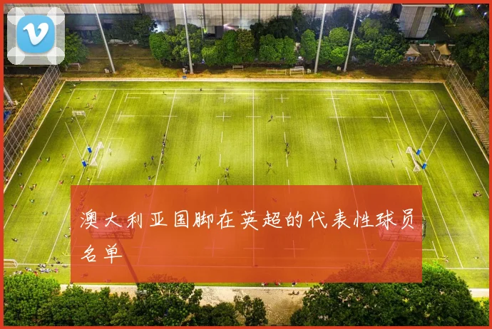 澳大利亚国脚在英超的代表性球员名单