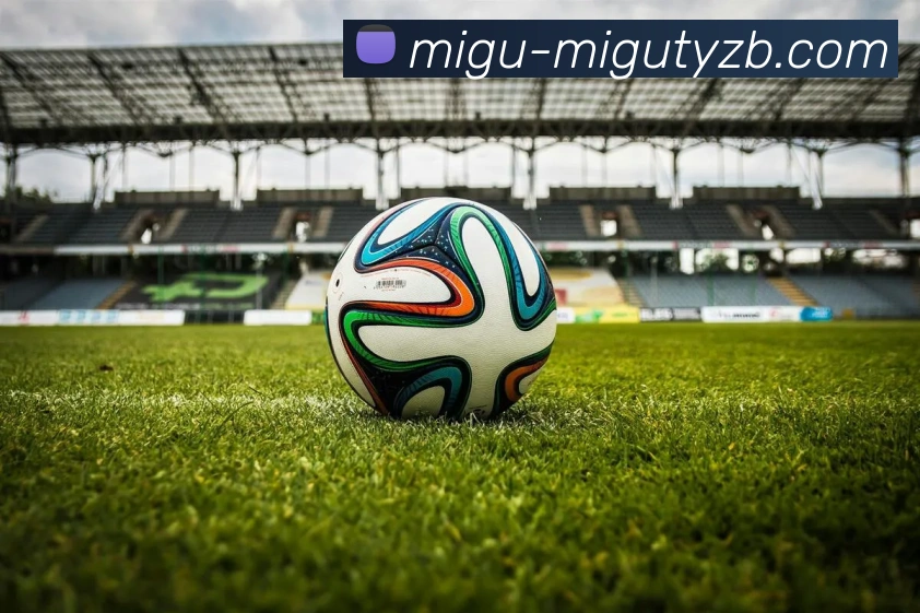 足球直播平台生态图